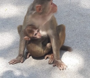 Туры в Китай