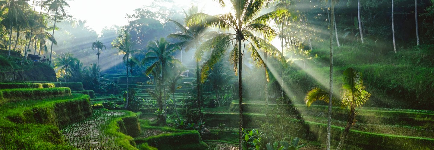 Малайзия - Индонезия - Сингапур. Комби тур.