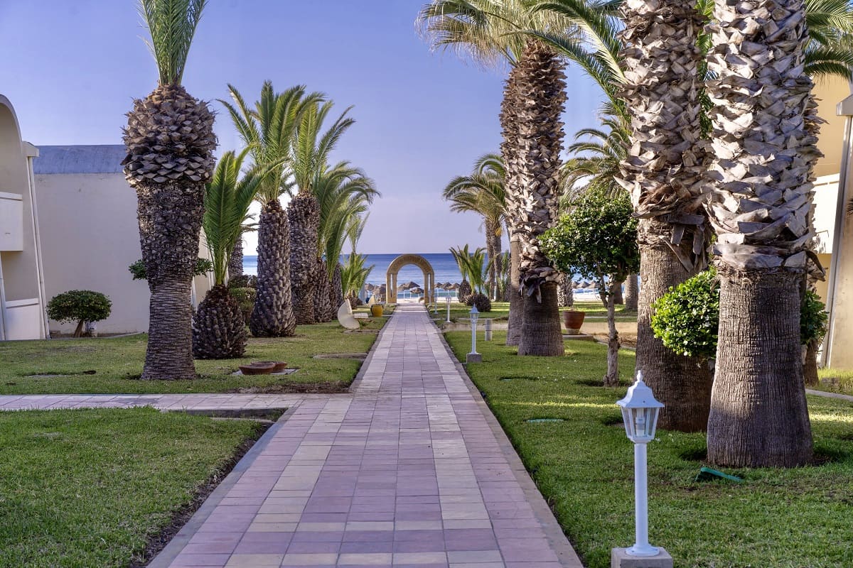 ТУНИС из Минска. Знакомим вас с отелем недели Club Novostar Dar Khayam 3*.